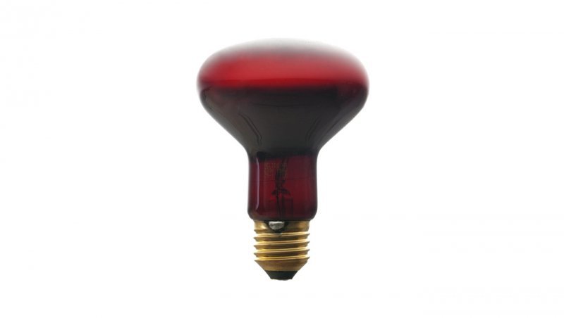 Promiennik podczerwieni E27 100W 80mm R-80 do terrarium PRO-1465