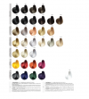 Color Art Desiree Farba do włosów 9,7 Piaskowy bardzo jasny blond - 100ml