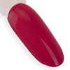 Lakier hybrydowy Ntn Premium Show Collection 5g Nr 114