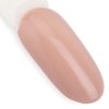 Lakier hybrydowy NTN Premium Topless Collection 5g Nr 14