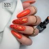Lakier hybrydowy Ntn Premium Ambrosia Collection 5g Nr 162
