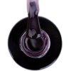 Lakier hybrydowy NTN Premium Garden Party Collection 5g Nr 172