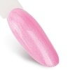 Lakier hybrydowy Ntn Premium Impression 5g Nr 254