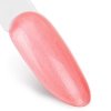 Lakier hybrydowy Ntn Premium Impression 5g Nr 258