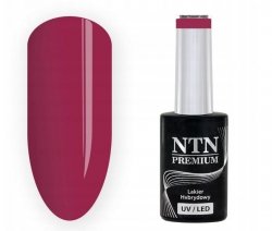 Lakier hybrydowy Ntn 5g nr 207