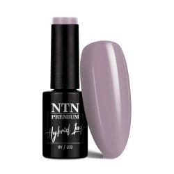 Lakier hybrydowy Ntn Premium Splash Collection 5g Nr 121