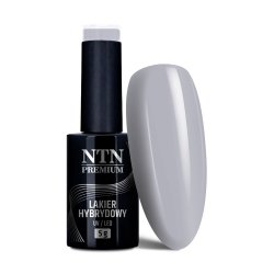 Lakier hybrydowy Ntn Premium Dessert Collection 5g Nr 98