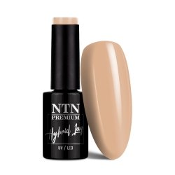 Lakier hybrydowy NTN Premium Day Dreaming Collection 5g Nr 62