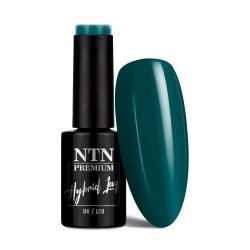 Lakier hybrydowy NTN Premium Springtime selfie 5g Nr 286