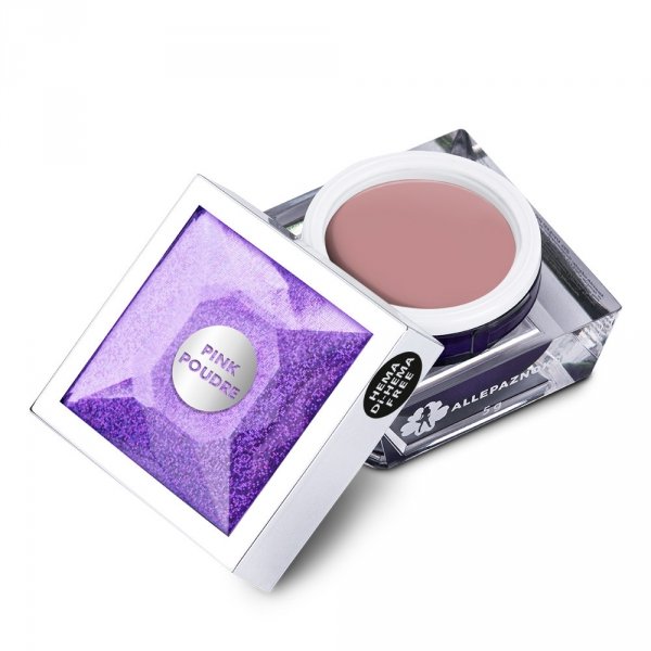 Żel do zdobień Artistic Gel paint gel ombre ornamenty Allepaznokcie Pink Poudre HEMA /Di-HEMA free 5g Nr 34