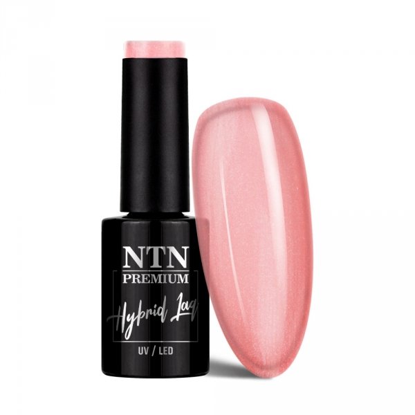 Lakier hybrydowy Ntn Premium Impression 5g Nr 258