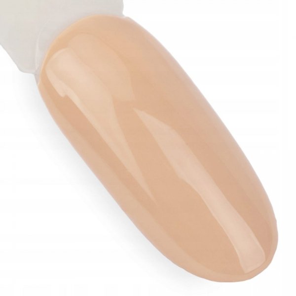 Lakier hybrydowy lakier kolorowy Ntn 62 5 g