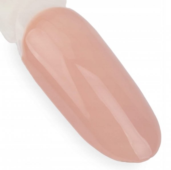 Lakier hybrydowy NTN premium Day Dreaming 5g 60 Hema/Di-Hema Free