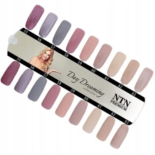 Lakier hybrydowy NTN premium Day Dreaming 5g 57