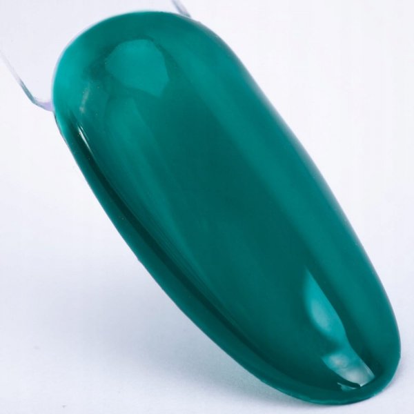 Lakier hybrydowy NTN Springtime selfie 5g Nr 286