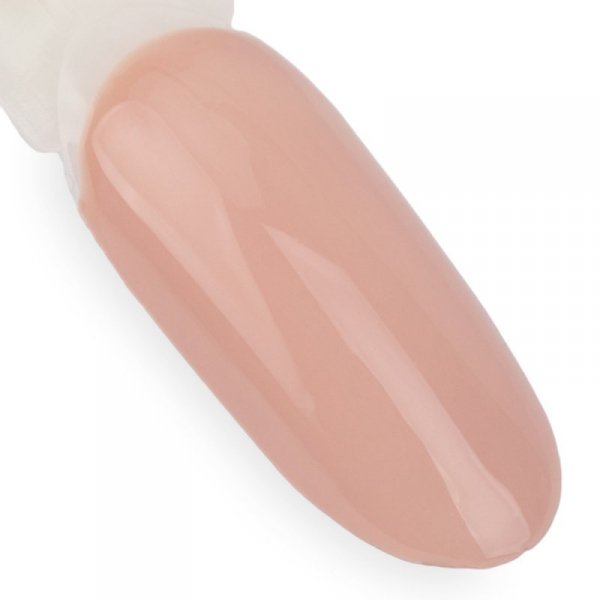 Lakier hybrydowy NTN Premium Day Dreaming Collection 5G NR 60
