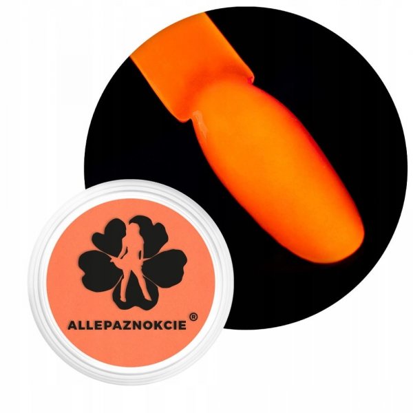 Pigment neonowy do paznokci w proszku słoiczek neon uv pigment 0,6 g Nr 05