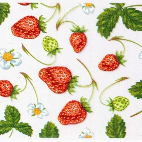 FOLIA TRANSFEROWA JUST SUMMER 100 CM NR 5