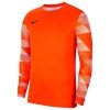 Bluza Nike Y Park IV GK Boys CJ6072 819 pomarańczowy S (128-137cm)