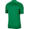 Koszulka Nike Dri Fit Challange 3 Y BV6738 302 zielony S