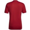 Koszulka adidas ENTRADA 22 GFX JSY HB0572 czerwony S