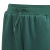Spodnie adidas BLUV Q3 Pant Jr IA1553 zielony 164 cm