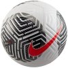 Piłka Nike Academy Ball FB2894-100 biały 5