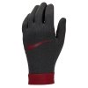 Rękawiczki Nike Liverpool FC Thermafit - HO23 FJ4857-010 czarny XL