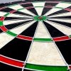 Tarcza Dart sizalowa 45cm ENERO CHAMPIONSHOP PRO  