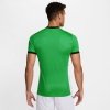 Koszulka Nike Academy 25 SS Top FZ9754-329 zielony S