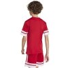 Koszulka adidas SQUADRA 25 JSY Jr JJ0051 czerwony 164 cm