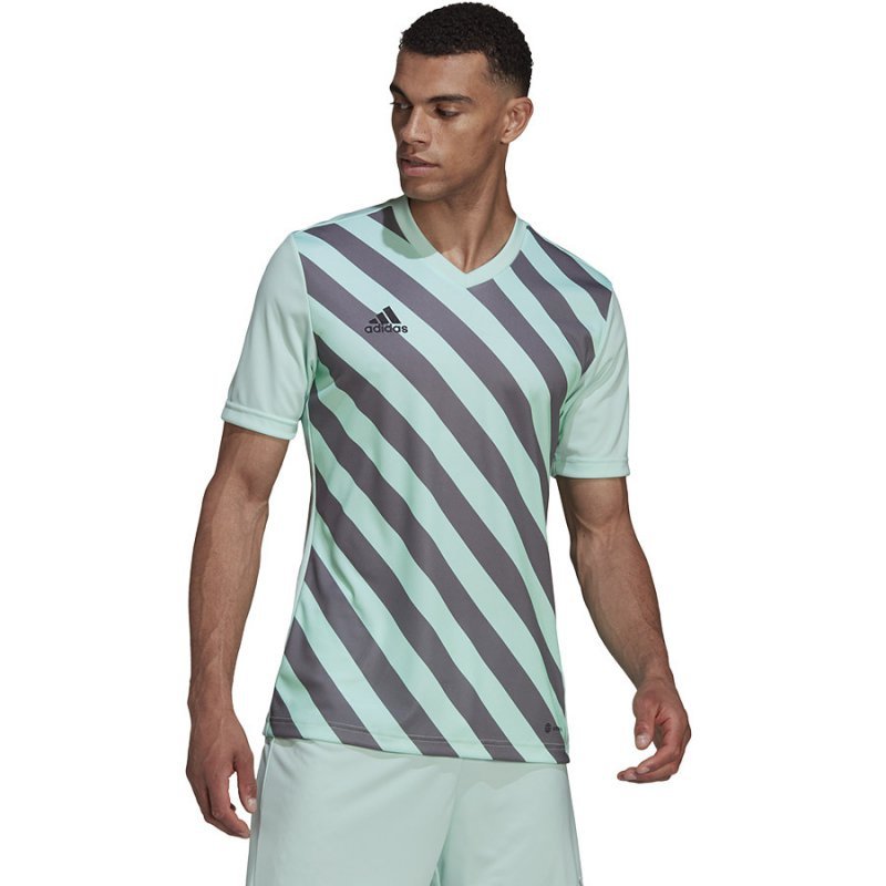 Koszulka adidas ENTRADA 22 GFX JSY HF0119 niebieski XL