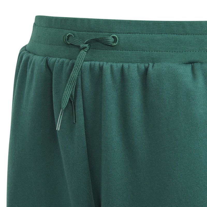 Spodnie adidas BLUV Q3 Pant Jr IA1553 zielony 164 cm