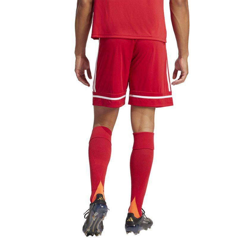 Spodenki adidas SQUADRA 25 Short JN5466 czerwony L