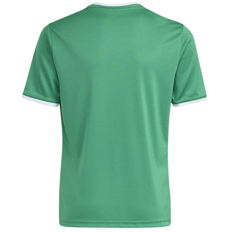 Koszulka adidas Entrada 26 JSY JZ2528 zielony 164 cm