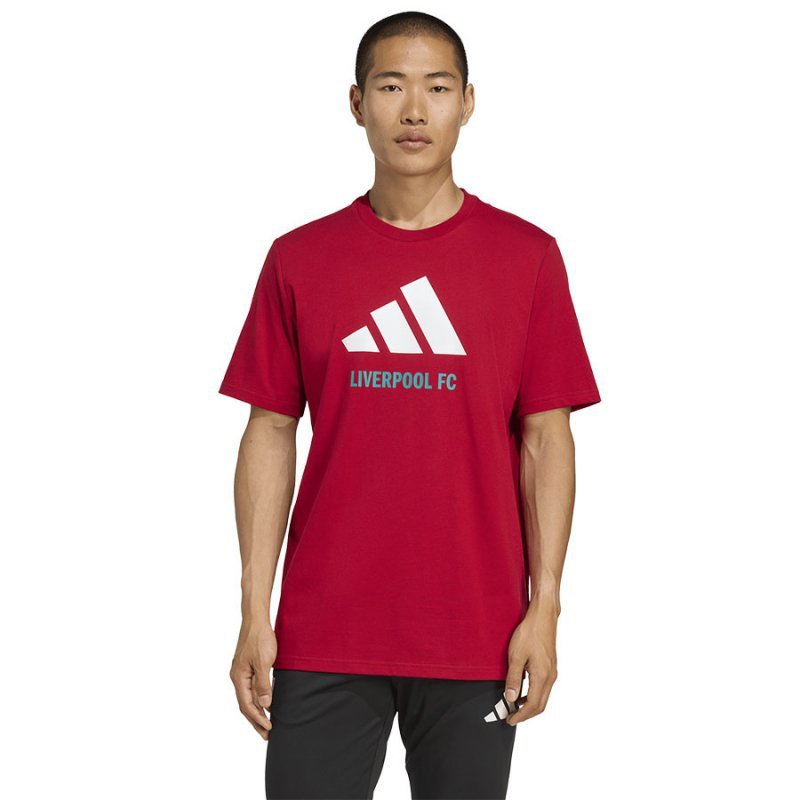 Koszulka adidas Liverpool FC Seasonal DNA Graphic Tee 2 JY3466 czerwony L