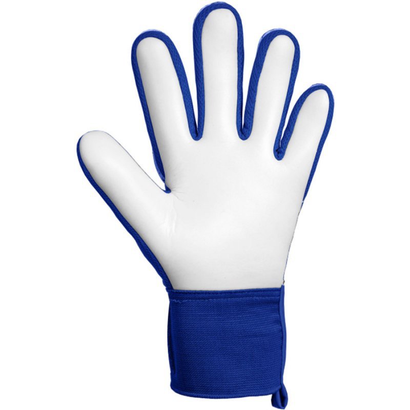 Rękawice Reusch Attrakt Starter Solid 56 70 514 4126 niebieski 8