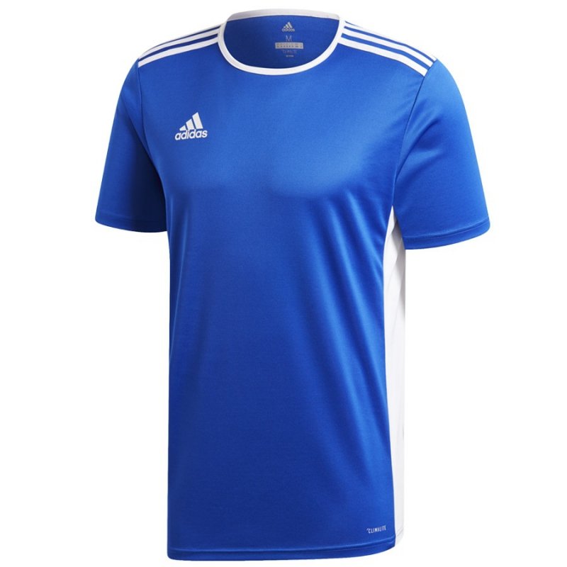 Koszulka adidas Entrada 18 JSY CF1037 niebieski XL
