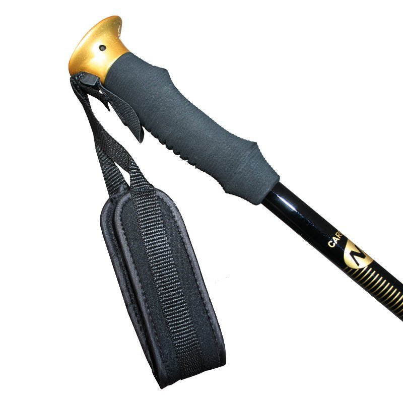 NW-TK19  KIJE TREKKING/NORDIC WALKING 50% CARBON NILS