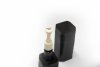 Filippo Sorcinelli Plein Jeu III-V Extrait de Parfum 50 ml