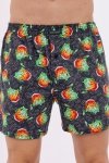 CORNETTE BOKSERKI CLASSIC 2024J 3-5XL