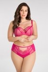 GORSENIA BRAZYLIANY PARADISE K498/1 AMARANT