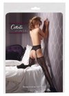 Cottelli LEGWEAR Susp. Straps + Stockings