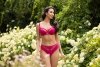 GORSENIA FIGI BRAZYLIANY VICKY K567/1 FUKSJA