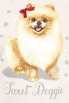 Cornette Piżama young Doggie 978/152 beżowa