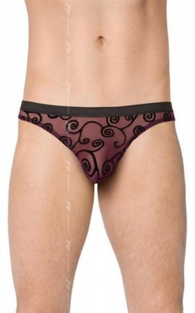 SoftLine Collection Mens Briefs 4522 - black
