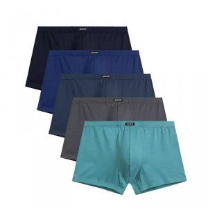 Atlantic Bokserki 002 5-pak gra/nie/zie/ind/nie