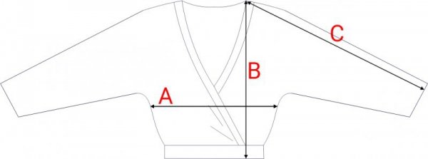 BeWear B292 Bluza z kopertowym dekoltem - wrzosowa