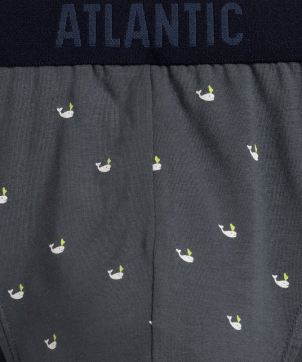 Atlantic SLIPY ATLANTIC 3MP-158 WL24 NIE/GRA/GRF