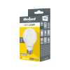 Lampa Led Rebel A60  8,5W  6500K, 230V